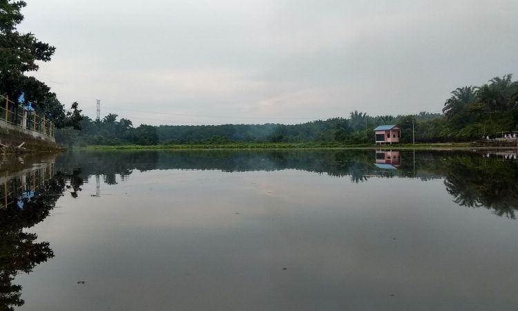 Fasilitas Danau Teratai Tinggi Raja