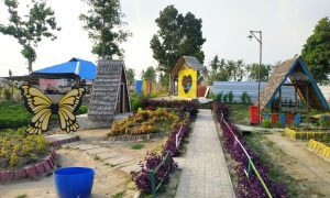 Taman Asmoro Jati Agung, Destinasi Wisata Alam Hits di Lampung Selatan