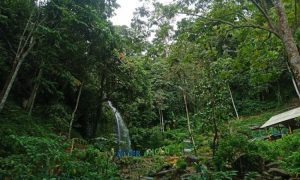 Air Terjun Anglo Pesawaran