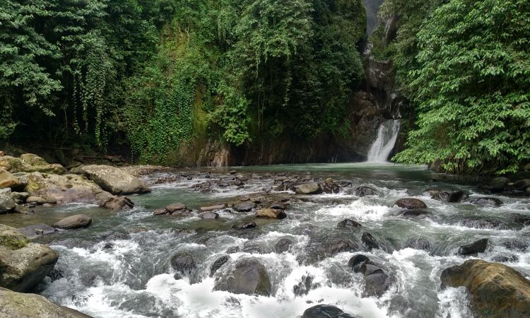 Air Terjun Sampuren Putih, Air Terjun 7 Tingkat Dikelilingi Hutan Cemara di Deli Serdang