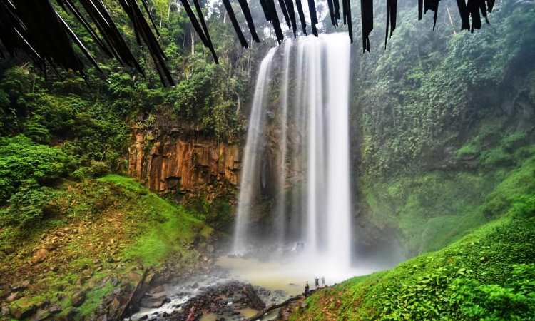 Aktivitas Menarik di Air Terjun Semantung
