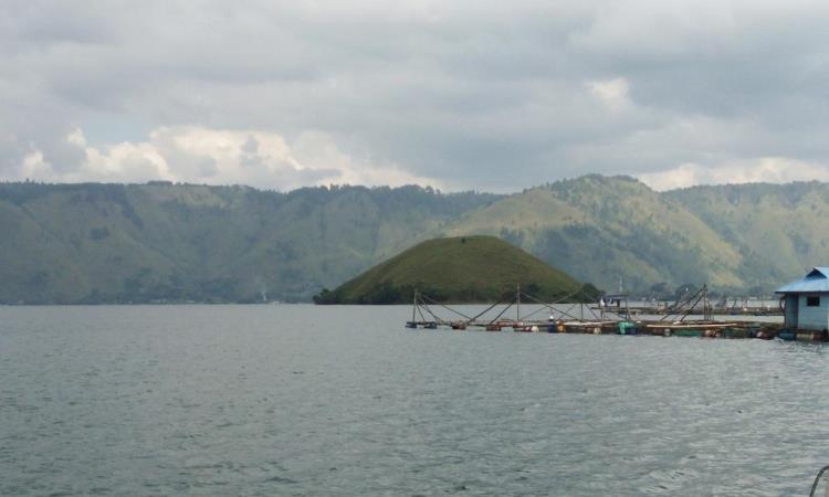 Aktivitas Menarik di Pulau Simamora