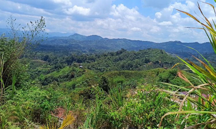 Alamat Puncak Jaya Manggala