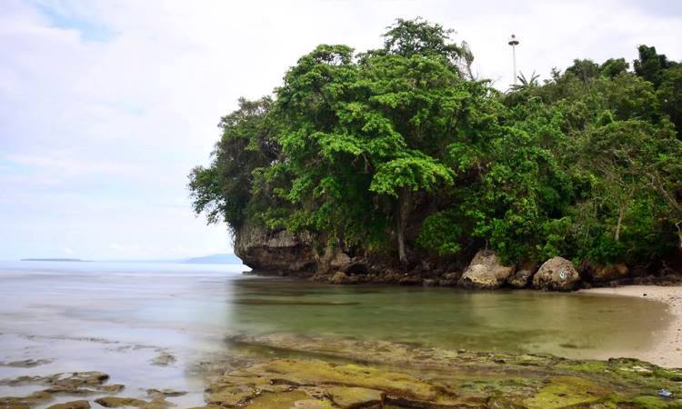 Daya Tarik Bukit Selalau