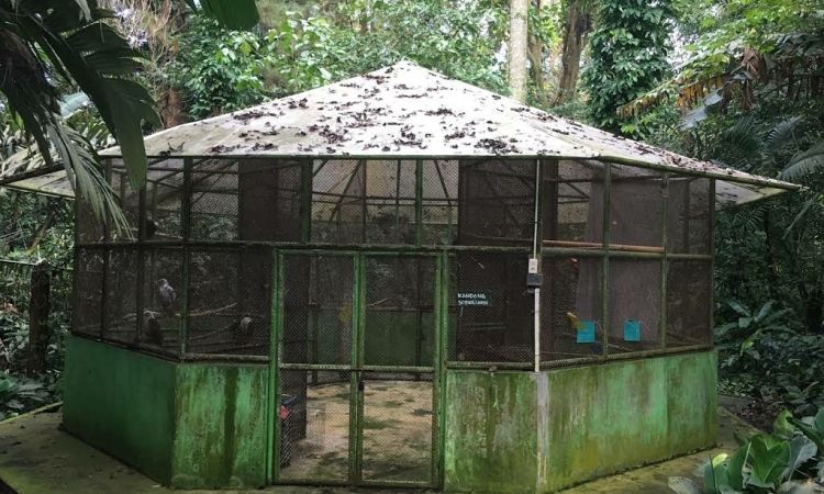 Daya Tarik Taman Wisata Alam Sibolangit