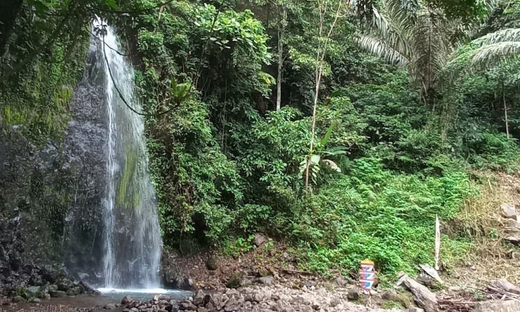 Daya Tarik di Air Terjun Anglo