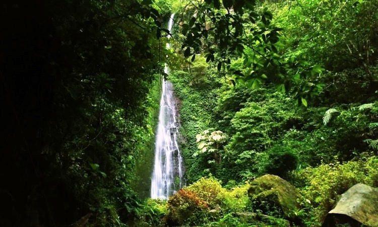 Daya Tarik di Air Terjun Sinar Tiga