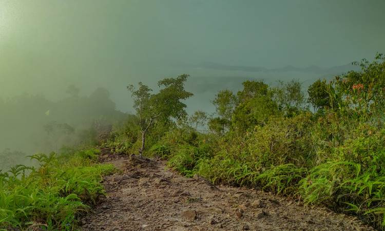 Daya Tarik di Dolok Pottas