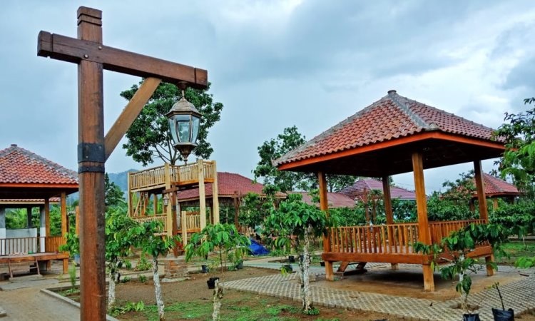 Daya Tarik di Kampung Kopi Rigis