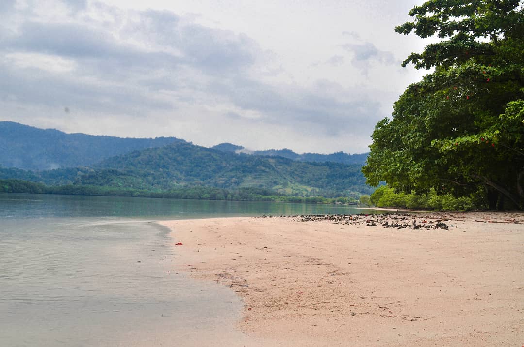 Daya Tarik di Pantai Teluk Panda
