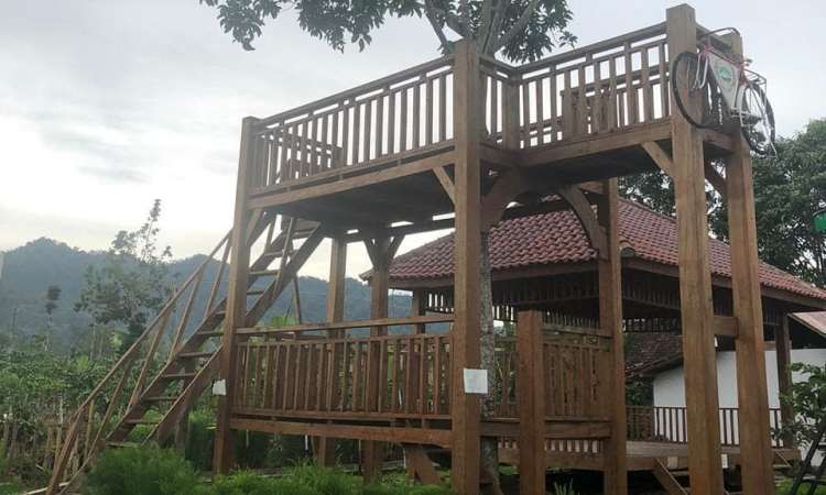 Fasilitas di Kampung Kopi Rigis