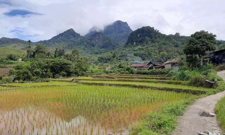 Gunung Dolok Pinapan, Spot Terbaik Menikmati Pesona Alam di Humbang Hasundutan