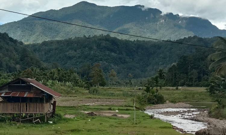 Kegiatan Menarik di Gunung Dolok Pinapan