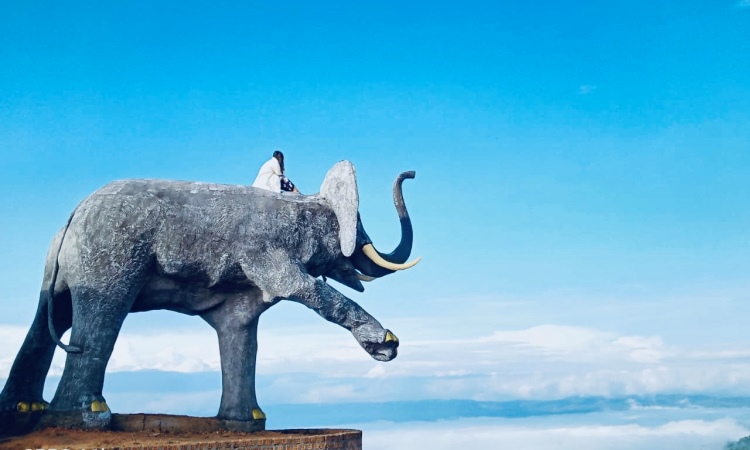 Kegiatan Menarik di Puncak Jaya Manggala