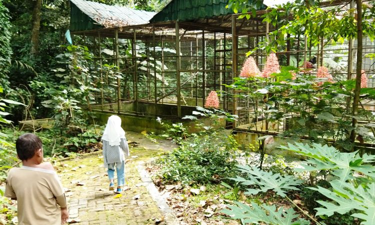 Kegiatan Menarik di Taman Wisata Alam Sibolangit