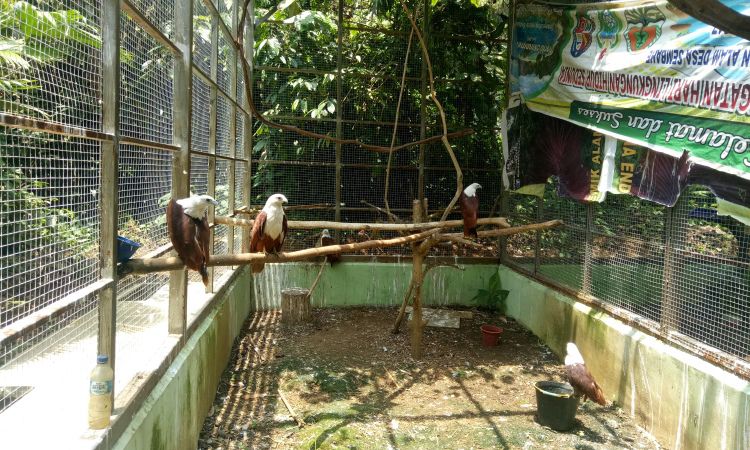 Taman Wisata Alam Sibolangit, Berpetualang Sembari Belajar Aneka Flora & Fauna