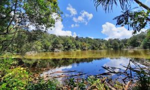 Taman Wisata Alam Sicike-Cike, Destinasi Wisata Alam & Edukasi Favorit di Dairi