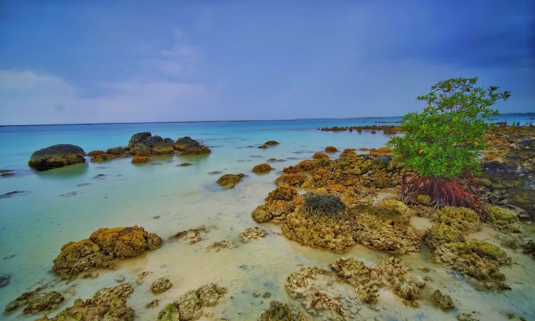 Aktivitas Menarik di Pantai Tureloto