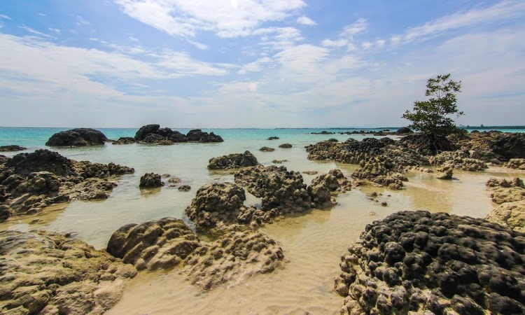 Daya Tarik di Pantai Tureloto