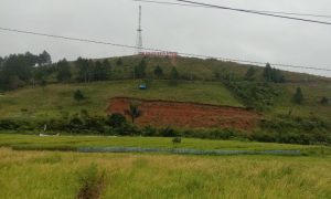 Tor Simago-Mago Tapanuli Selatan