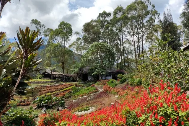 Aktivitas Sapo Juma Karo