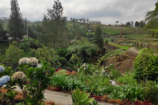 Alamat Sapo Juma Karo