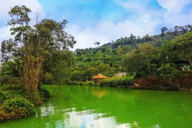 Danau Hijau Ulu Belu, Keindahan Danau Air Panas yang Berwarna-Warni di Tanggamus