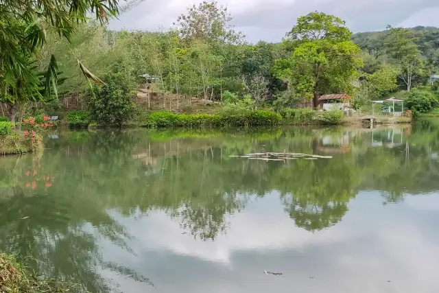 Daya Tarik Danau Marambe