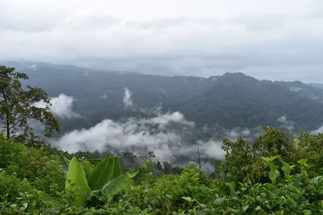 Daya Tarik Taman Nasional Batang Gadis
