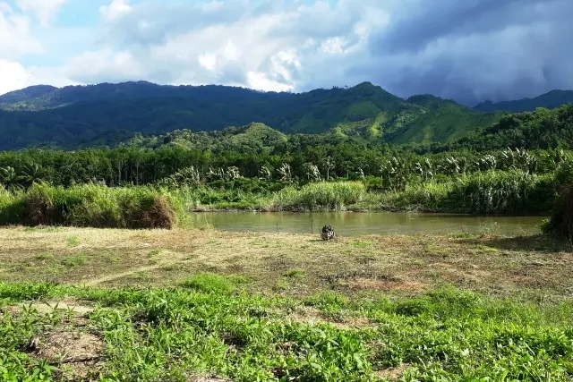 Fasilitas Taman Nasional Batang Gadis
