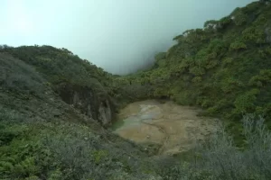 Gunung Sorik Marapi, Gunung Indah dengan Keragaman Flora & Fauna di Mandailing Natal