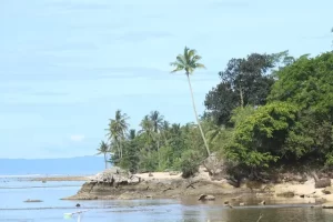 Pantai Karang Putih, Pantai Unik dengan Pulau Kecil di Tengah Lautan Tanggamus