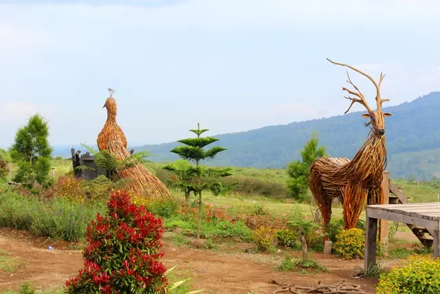 Puncak 2000 Siosar, Menikmati Kuliner Sembari Menyaksikan Pesona Alam di Karo