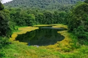 Taman Nasional Batang Gadis, Wisata Alam & Mengenal Budaya di Mandailing Natal