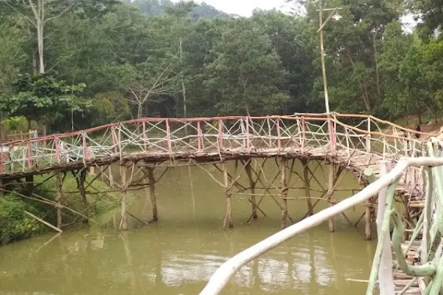 Aktivitas Menarik di Bukit Tursina