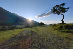 Bukit Beta Tuktuk, Spot Terbaik Meyaksikan Keindahan Danau Toba di Samosir