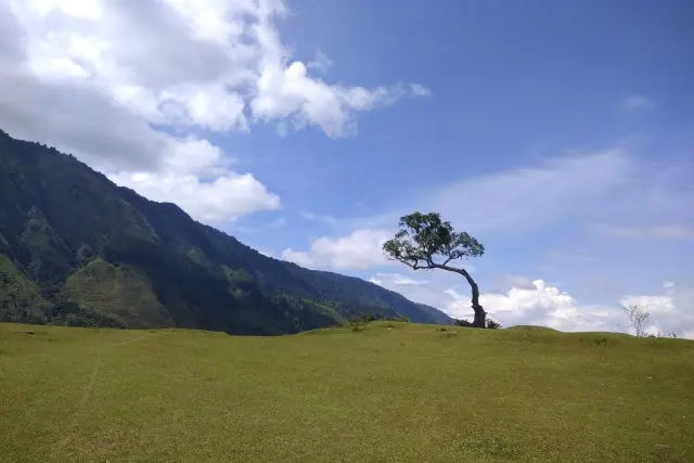 Daya Tarik Bukit Beta Tuktuk