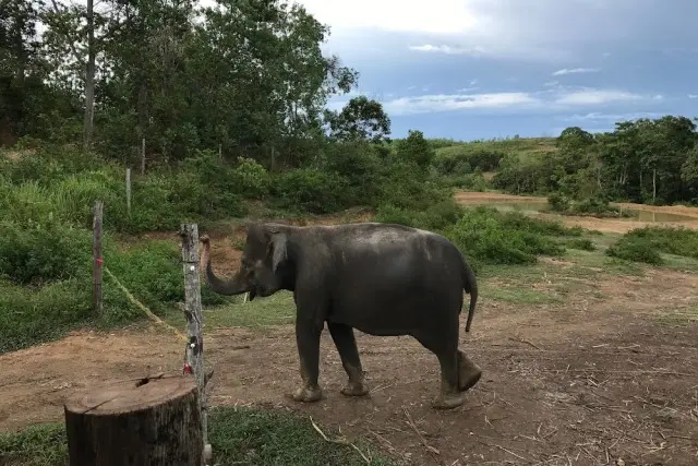 Aktivitas Menarik Barumun Nagari Wildlife Sanctuary