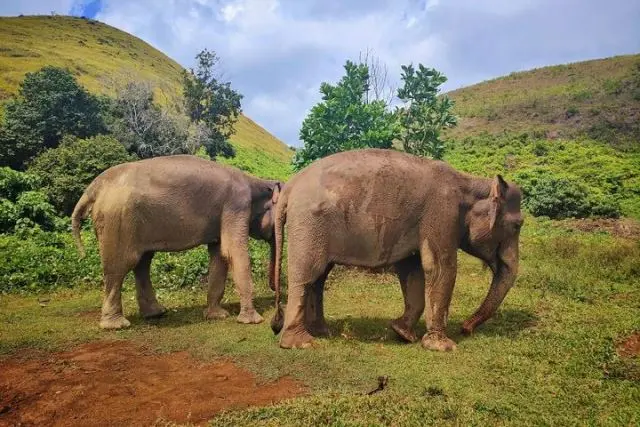 Alamat Barumun Nagari Wildlife Sanctuary