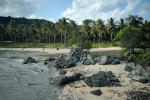 Daya Tarik Pantai Karang Bebai