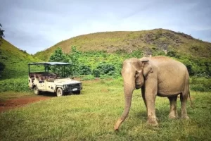 Fasilitas Barumun Nagari Wildlife Sanctuary