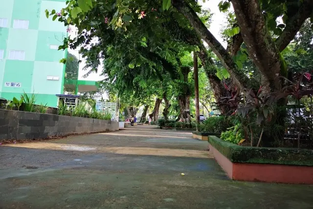 Fasilitas Taman Jomblo Jambi