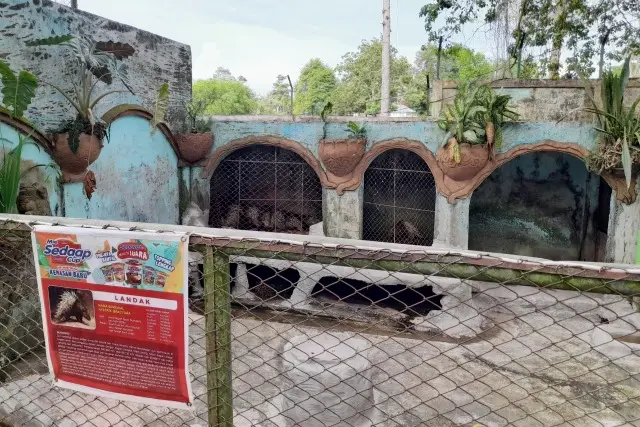 Fasilitas Taman Rimba Zoo