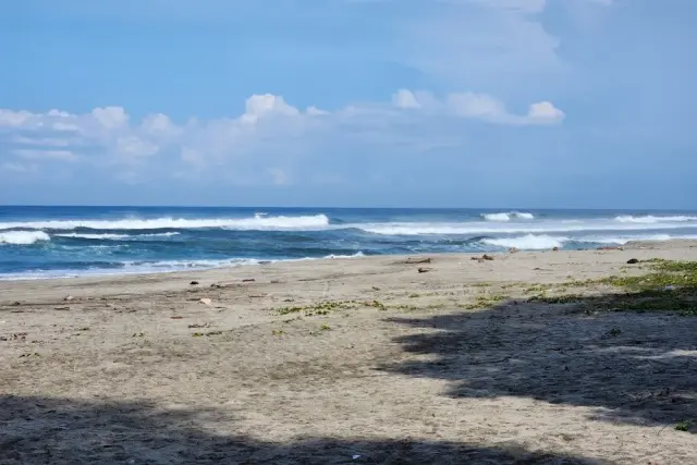 Kegiatan Menarik Pantai Krui