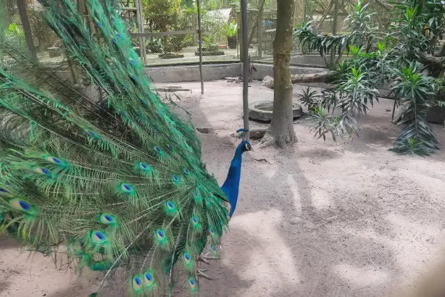 Kegiatan Seru Taman Rimba Zoo