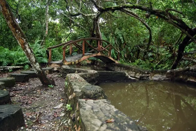 Taman Wisata Alam Rimbo Panti