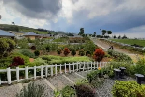 Aktivitas Menarik Kebun Madu Efi