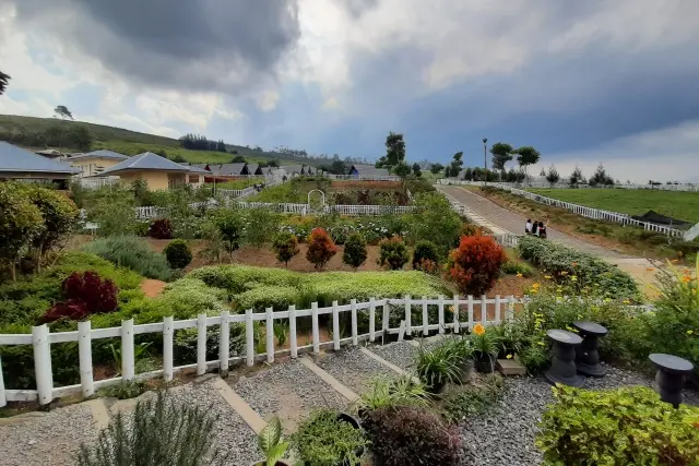 Aktivitas Menarik Kebun Madu Efi
