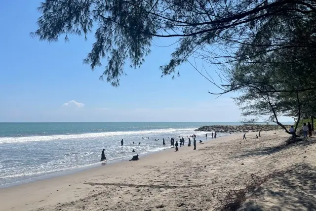 Aktivitas Menarik Pantai Tiram