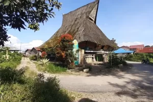 Aktivitas Seru Desa Budaya Lingga